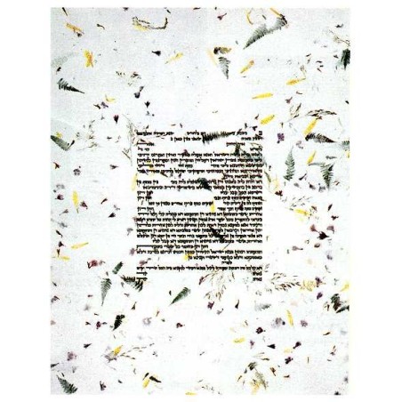 Eco Ketubah - 20 x 26 | All Judaica | Judaica