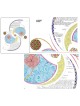 Kinetics of Desire Ketubah | All Judaica | Judaica