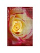 Passion Ketubah | All Judaica | Judaica
