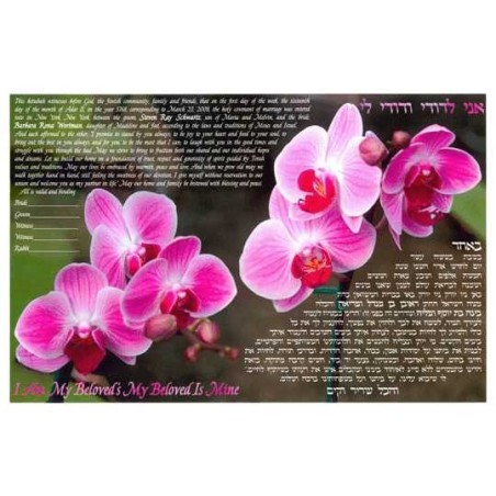Together Ketubah | All Judaica | Judaica