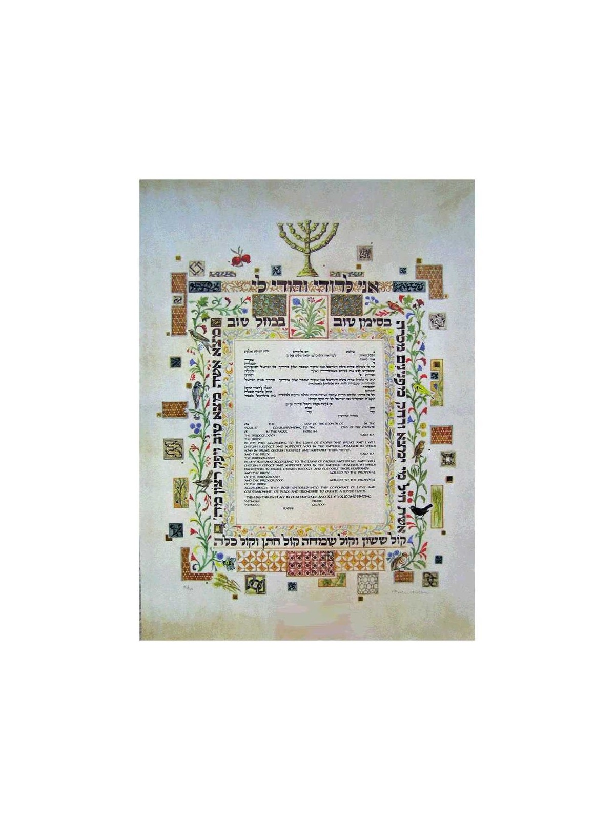 Menorah Vine Ketubah | All Judaica | Judaica