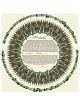 Green Perfections Ketubah | All Judaica | Judaica