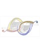 Adagio Ketubah | All Judaica | Judaica
