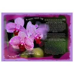 Orchids Ketubah | All Judaica | Judaica