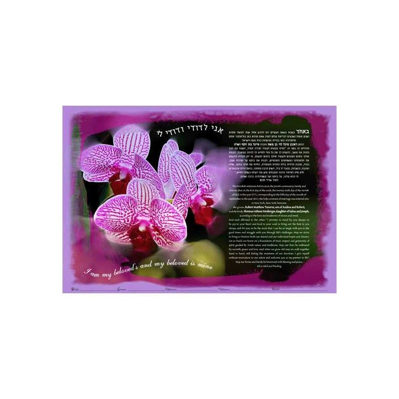 Orchids Ketubah | All Judaica | Judaica
