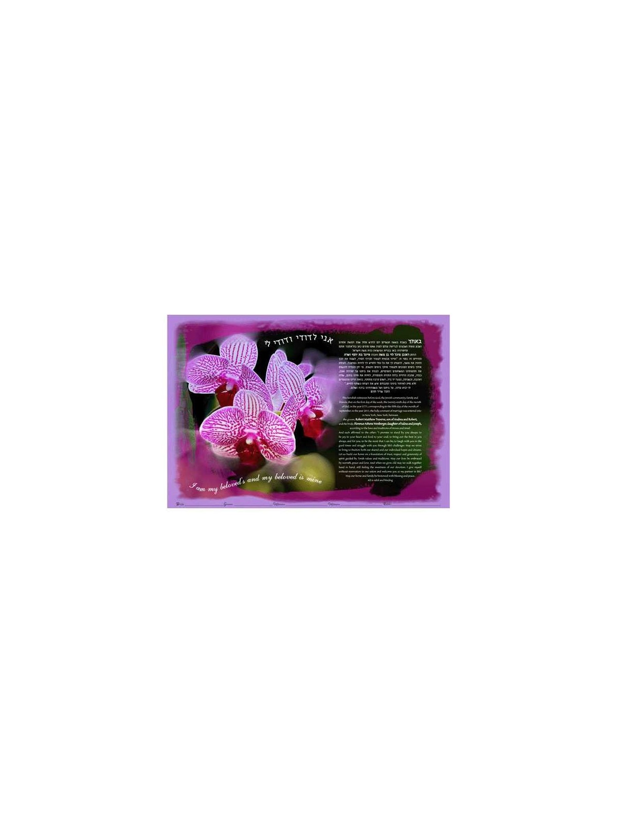 Orchids Ketubah | All Judaica | Judaica