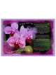 Orchids Ketubah | All Judaica | Judaica