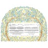 Nature's Canopy Ketubah | All Judaica | Judaica