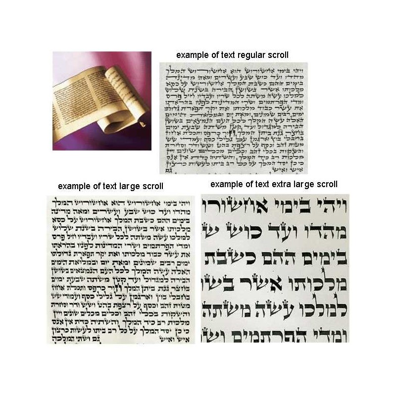 Megillah Esther Scroll - Chabad Large | Purim | Judaica