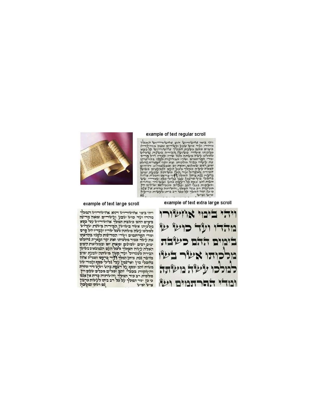 Megillah Esther Scroll - Chabad Large | Purim | Judaica