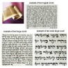 Megillah Esther Scroll - Chabad Large | Purim | Judaica