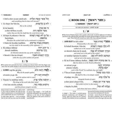 Artscroll Translittéré Compact Tehillim : Seif Ed | Livres | Judaïca