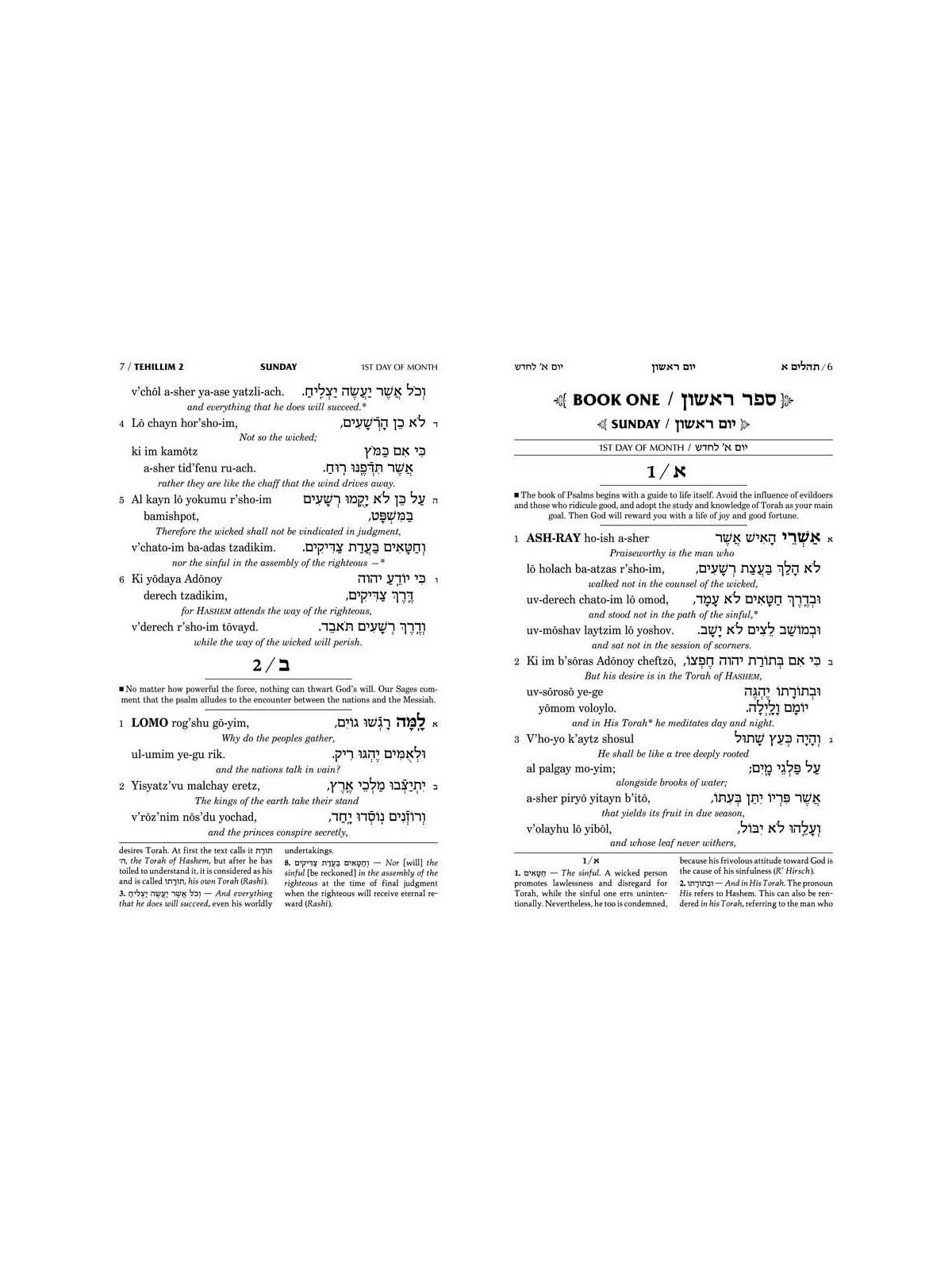 Artscroll Transliterated Compact Tehillim: Seif Ed | Books | Judaica