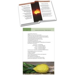 The Koren Birkon | Books | Judaica