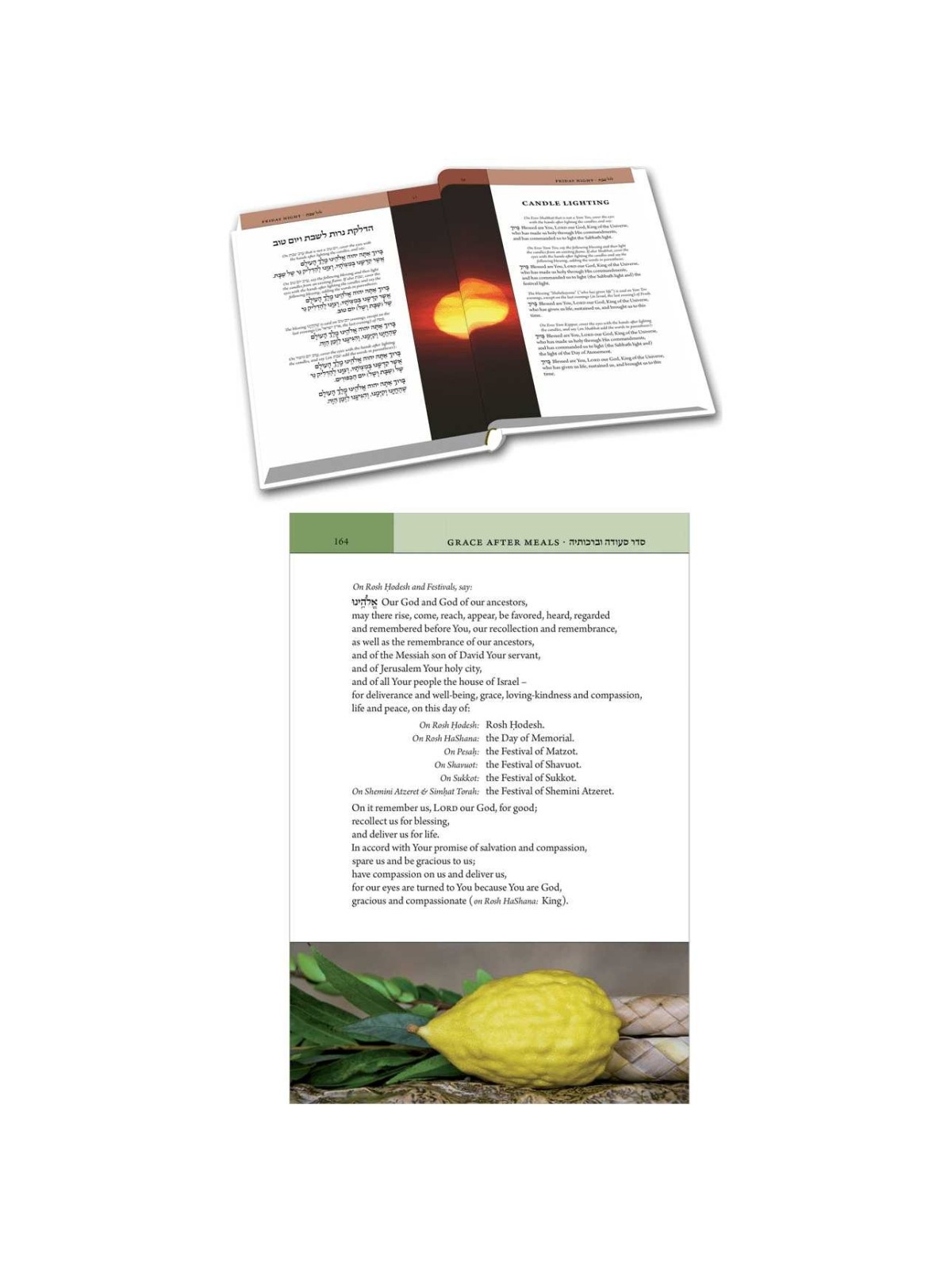 The Koren Birkon | Books | Judaica