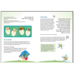 Season of Renewal: A Family Haggadah | Passover | Judaica