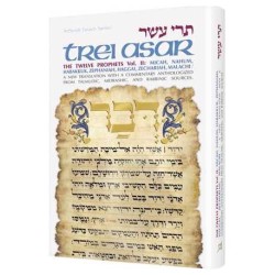 Artscroll Tanach Series: Trei Asar II-The Twelve P | Books | Judaica