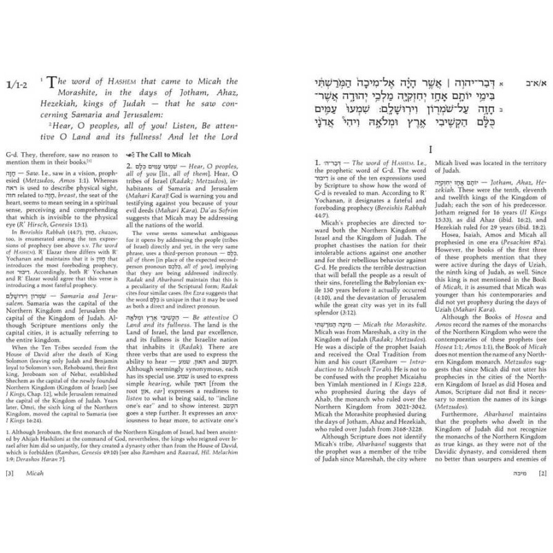 Artscroll Tanach Series: Trei Asar II-The Twelve P | Books | Judaica