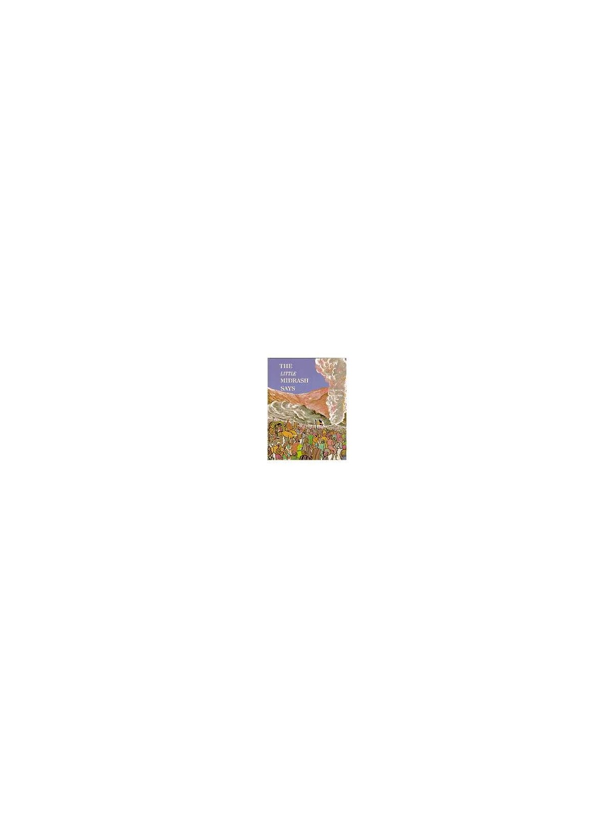 The Little Midrash Says 4: Bamidbar/Numbers | Books | Judaica
