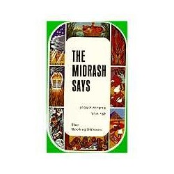 The Midrash Says Vol. 2: Sh'mos/Exodus | Books | Judaica