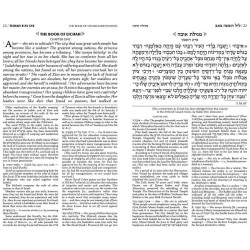 Kinnos / Tishah B'av Siddur - Ashkenaz - Full Size | Books | Judaica