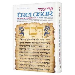 Artscroll Tanach Series: Trei Asar I- The Twelve P | Books | Judaica