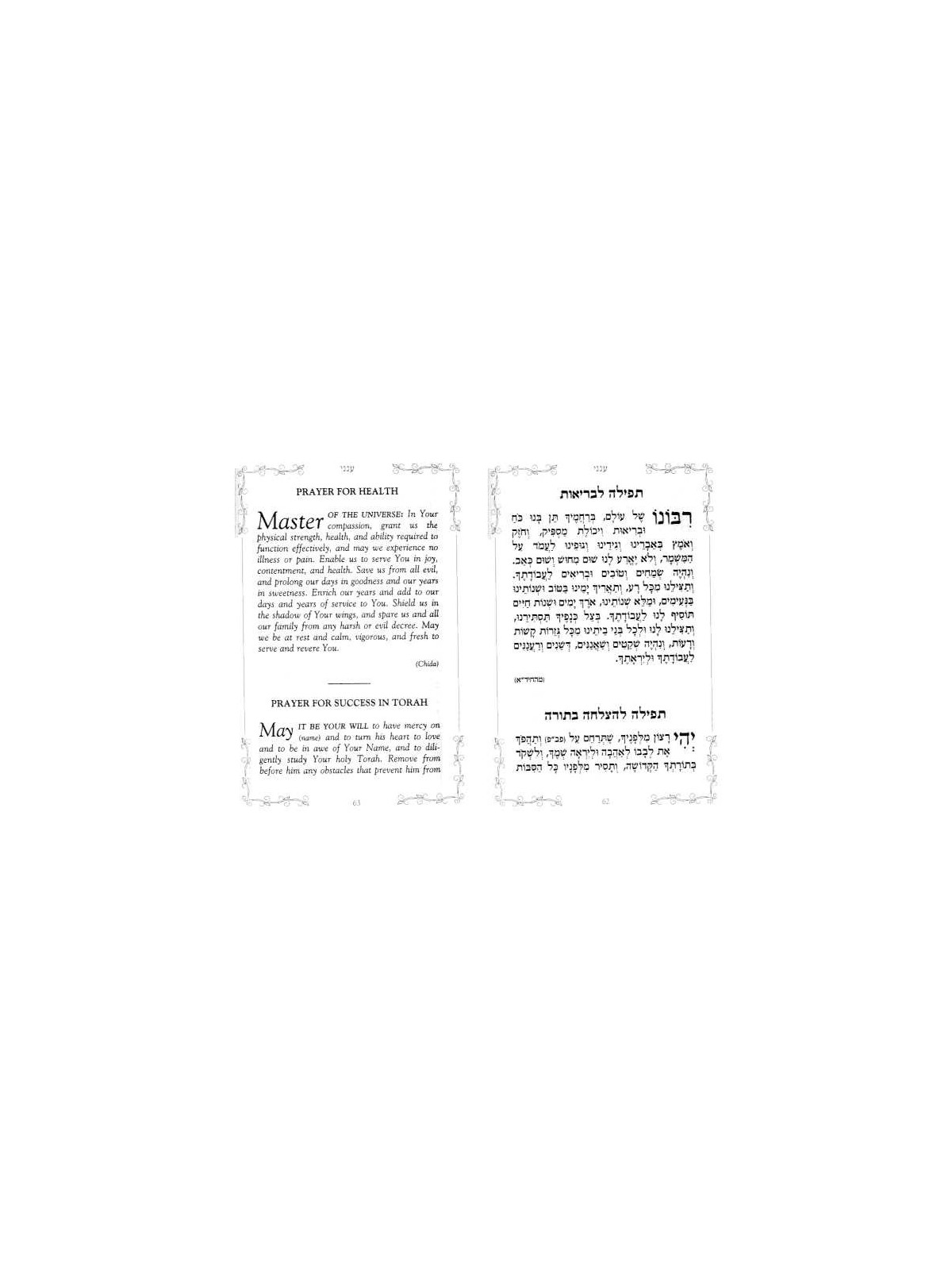 Aneni: Special Prayers for Special Occasions | Books | Judaica