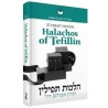 Halachos of Tefillin: Student Edition | Books | Judaica