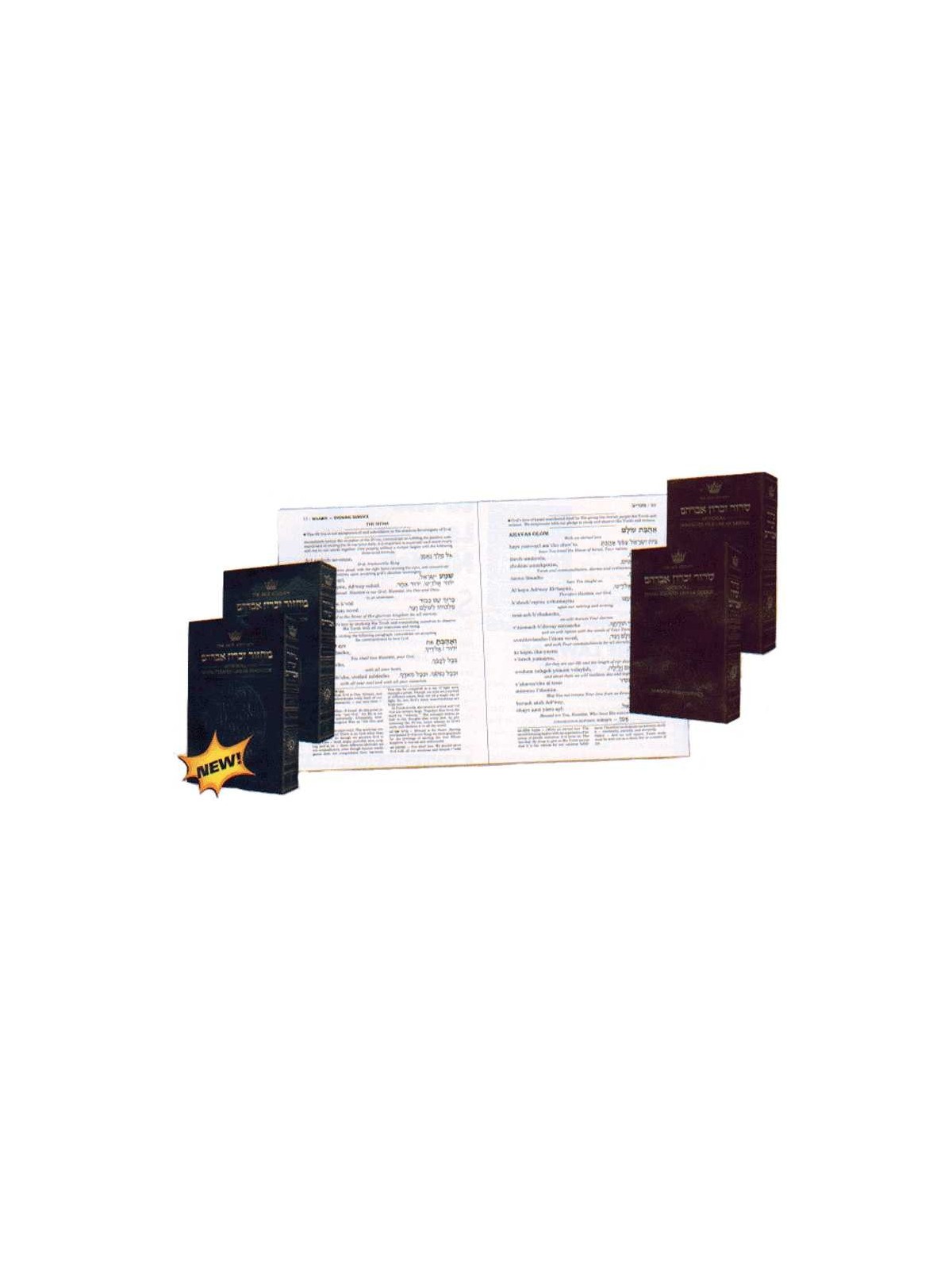 Artscroll Transliterated Linear Machzor: Rosh Hash | Books | Judaica