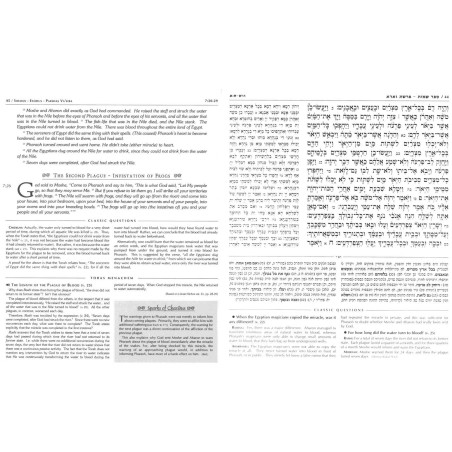 The Gutnick Edition Chumash: Devarim/Deuteronomy | Books | Judaica