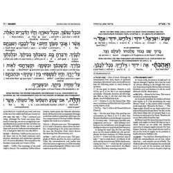 Interlinear Weekday Siddur: Full Size - Sefard | Books | Judaica