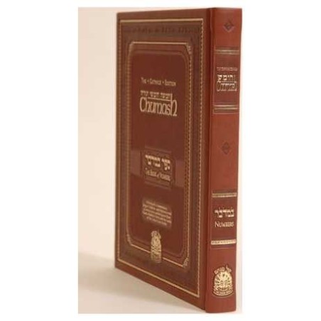 The Gutnick Edition Chumash: Bamidbar/Numbers | Books | Judaica