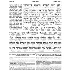 Artscroll Interlinear Chumash: Bamidbar/Numbers | Books | Judaica