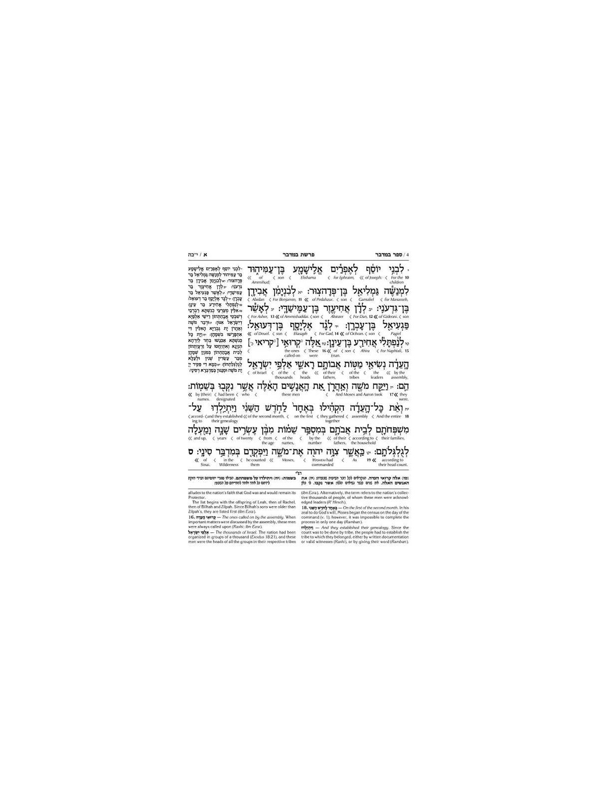 Artscroll Interlinear Chumash: Bamidbar/Numbers | Books | Judaica