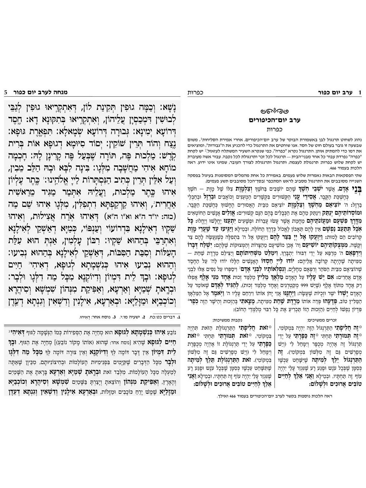 Chabad Machzor Meshulav: Hebrew Only Yom Kippur | Books | Judaica