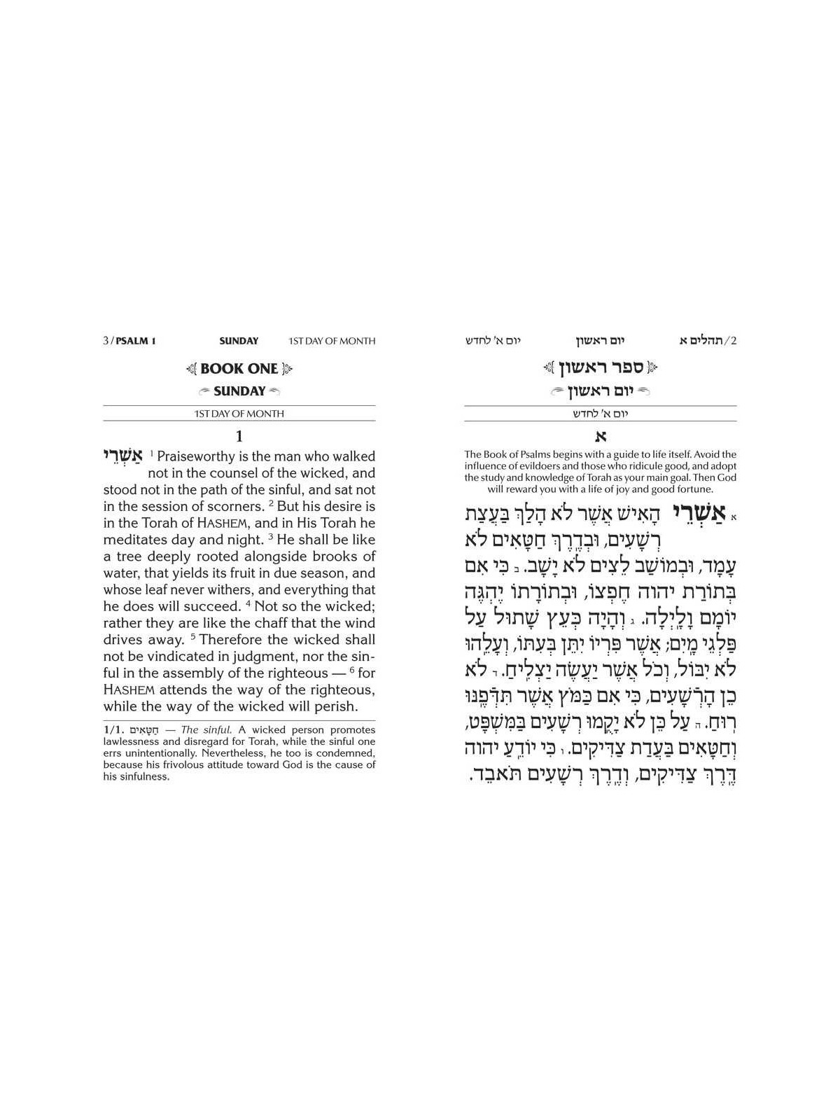 Large Type Tehillim / Psalms Full Size | Books | Judaica