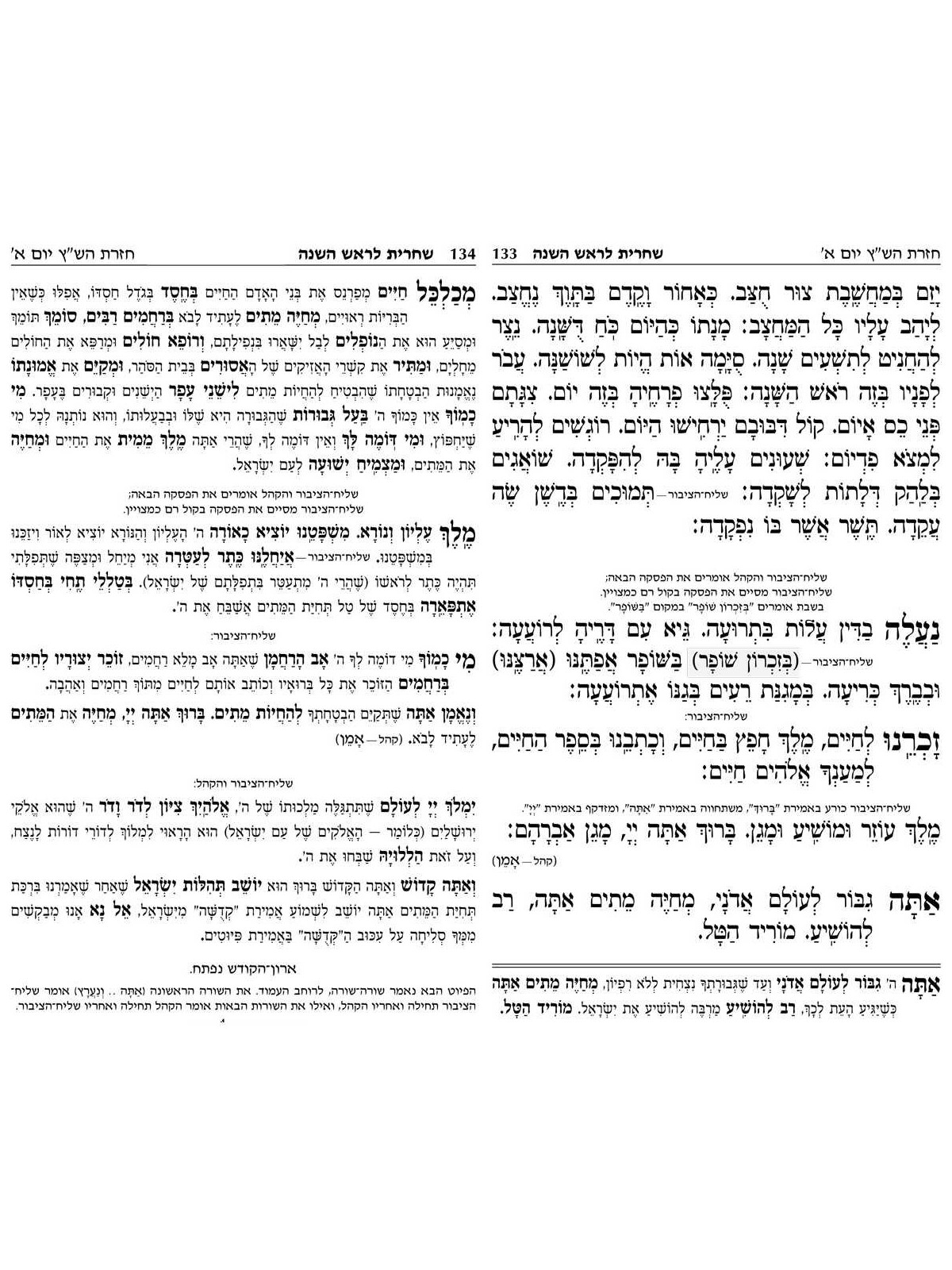 Chabad Machzor Meshulav: Hebrew Only Rosh Hashanah | Books | Judaica