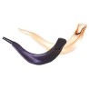 Brown Realistic Toy Shofar | Rosh Hashanah | Judaica