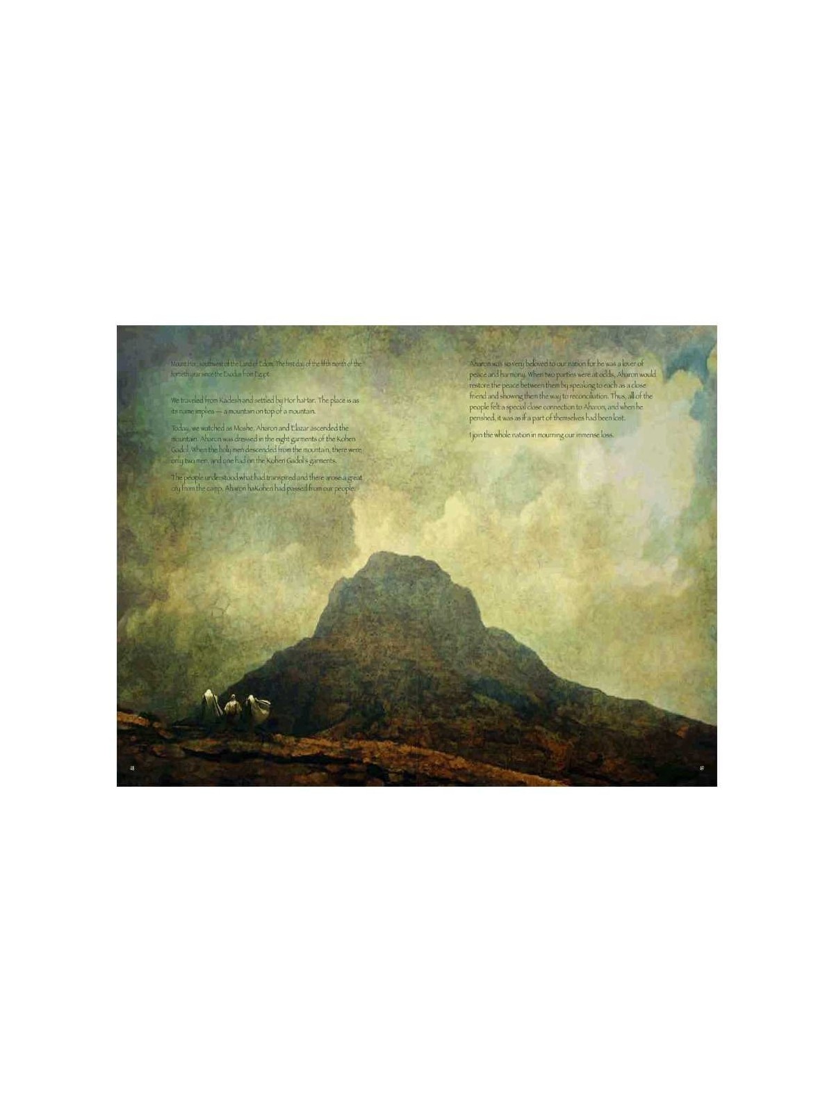 The Desert Diary | Books | Judaica