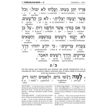 Artscroll Spanish Interlinear Tehillim | Books | Judaica