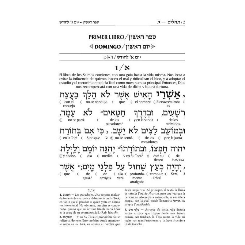 Artscroll Spanish Interlinear Tehillim | Books | Judaica