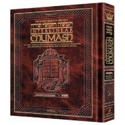 Artscroll Interlinear Chumash: Vayikra/Leviticus | Books | Judaica