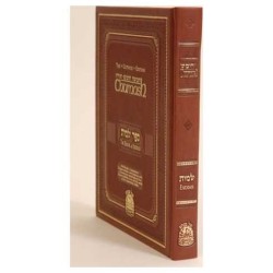The Gutnick Edition Hebrew/English Chumash: Shemot | Books | Judaica