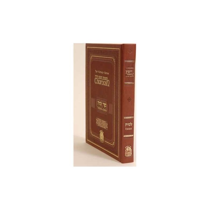 The Gutnick Edition Hebrew/English Chumash: Shemot | Books | Judaica