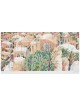 Jerusalem - View from the Wall | Art | Judaica