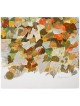 Community Archives II Leaves | Art | Judaica