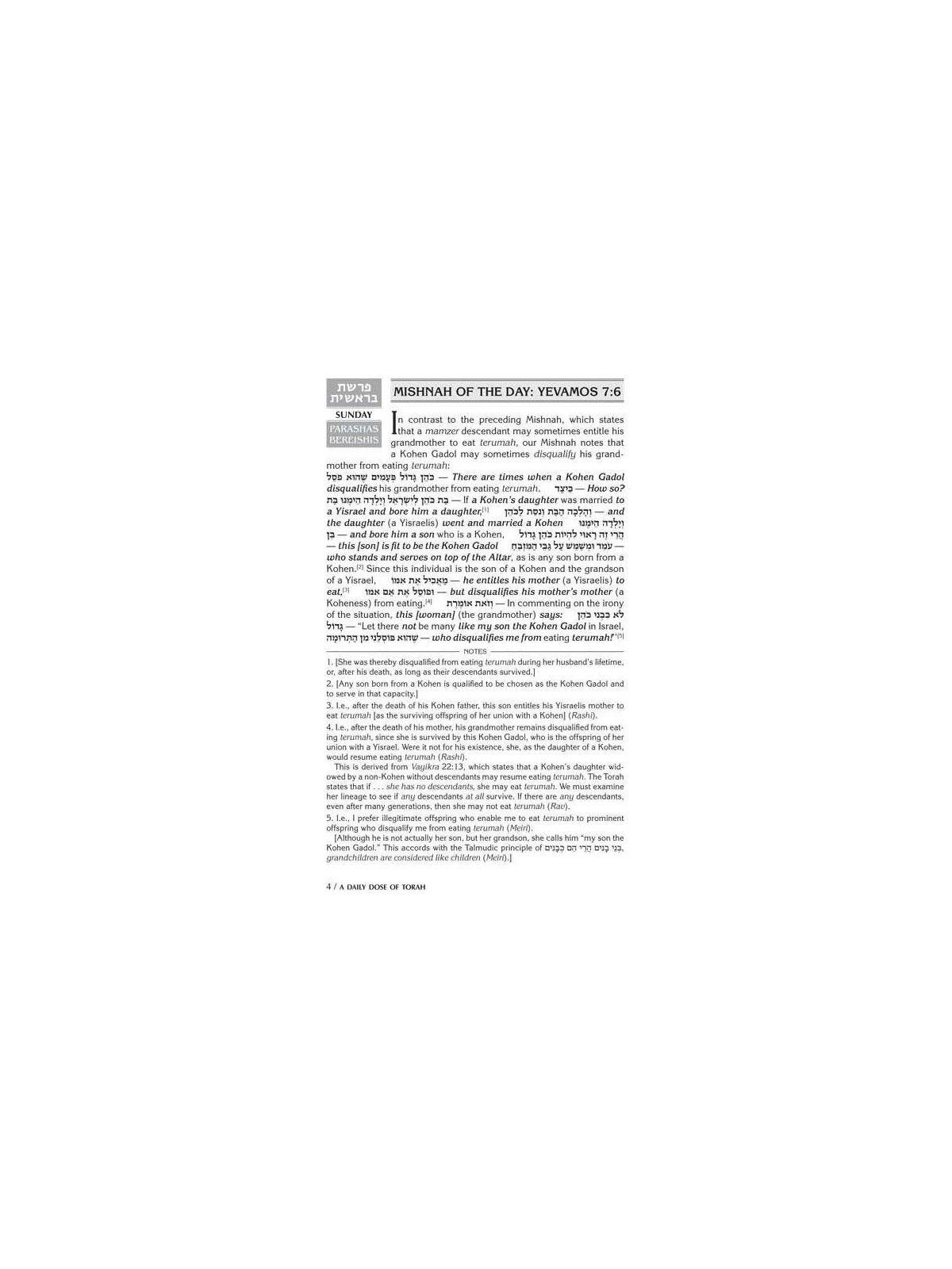 A Daily Dose of Torah Series 3 Vol 13: Weeks of Ki | Books | Judaica