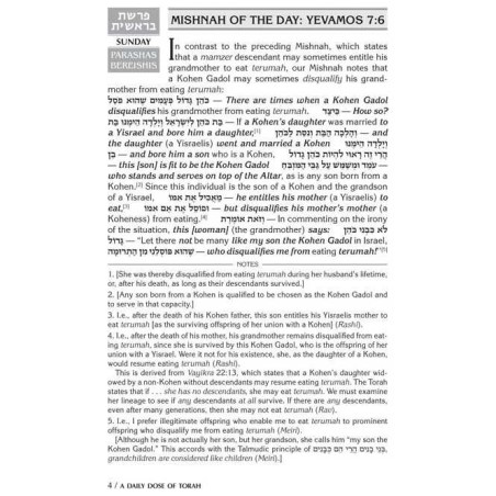 A Daily Dose of Torah Series 3 VOL 9: Weeks of Bam | Books | Judaica