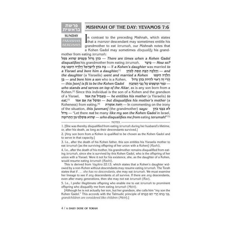 A Daily Dose of Torah Series 3 Vol 10: Weeks of Ko | Books | Judaica