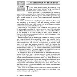 A Daily Dose of Torah Series 1 Vol 05: Weeks of Yi | Books | Judaica